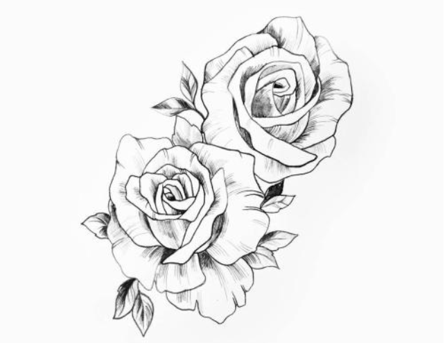 玫瑰花素描教程，讓你輕松學(xué)會(huì)玫瑰花的繪畫(huà)技法