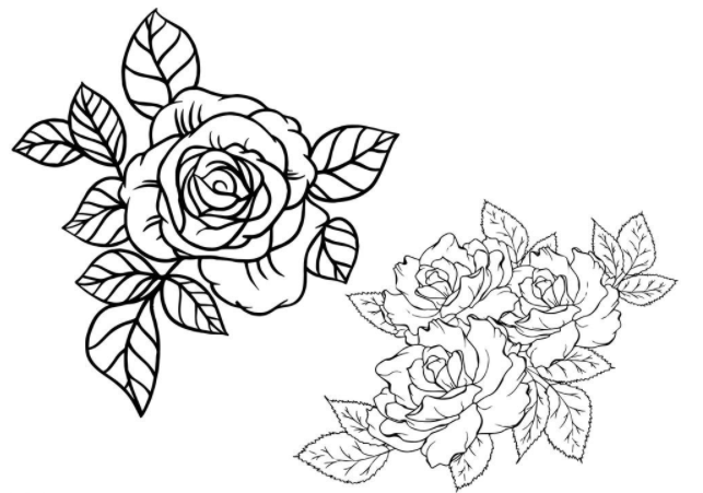 玫瑰花素描教程，讓你輕松學(xué)會(huì)玫瑰花的繪畫(huà)技法